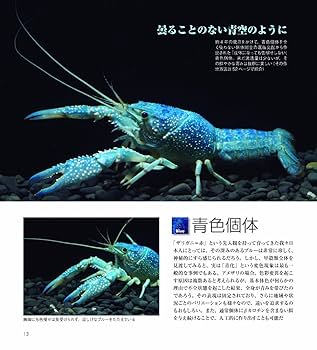 世界の淡水ザリガニ大図鑑 世界の淡水ザリガニ大図鑑 - メルカリ